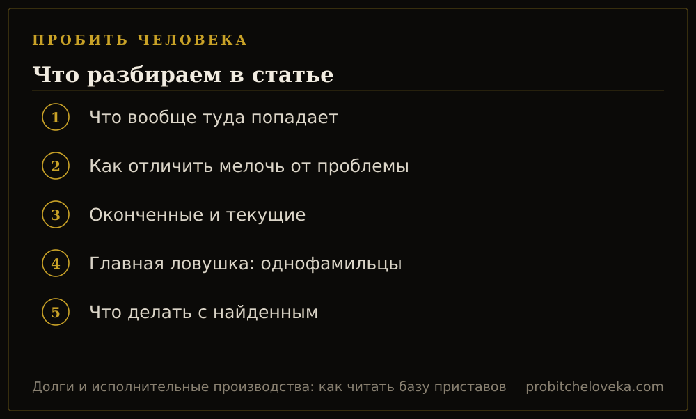 Пробить человека: план статьи «Долги и исполнительные производства: как читать базу приставов»
