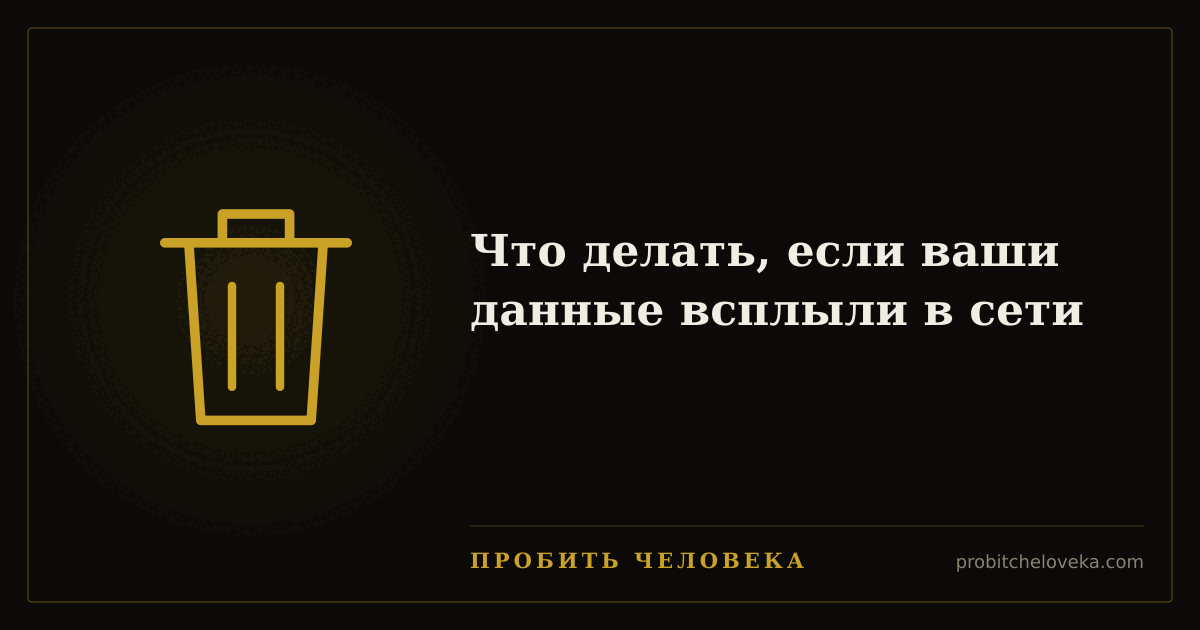 Пробить человека — Что делать, если ваши данные всплыли в сети