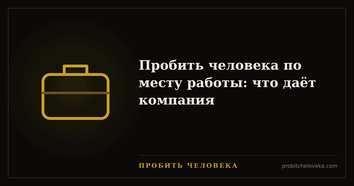 Пробить человека — Пробить человека по месту работы: что даёт компания