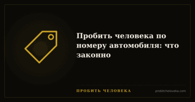 Пробить человека — Пробить человека по номеру автомобиля: что законно