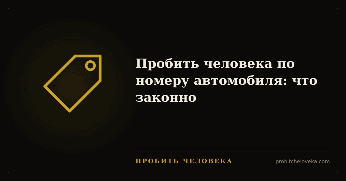 Пробить человека — Пробить человека по номеру автомобиля: что законно