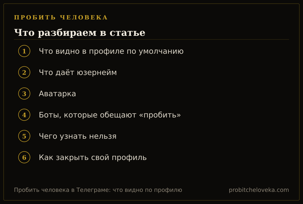 Пробить человека: план статьи «Пробить человека в Телеграме: что видно по профилю»