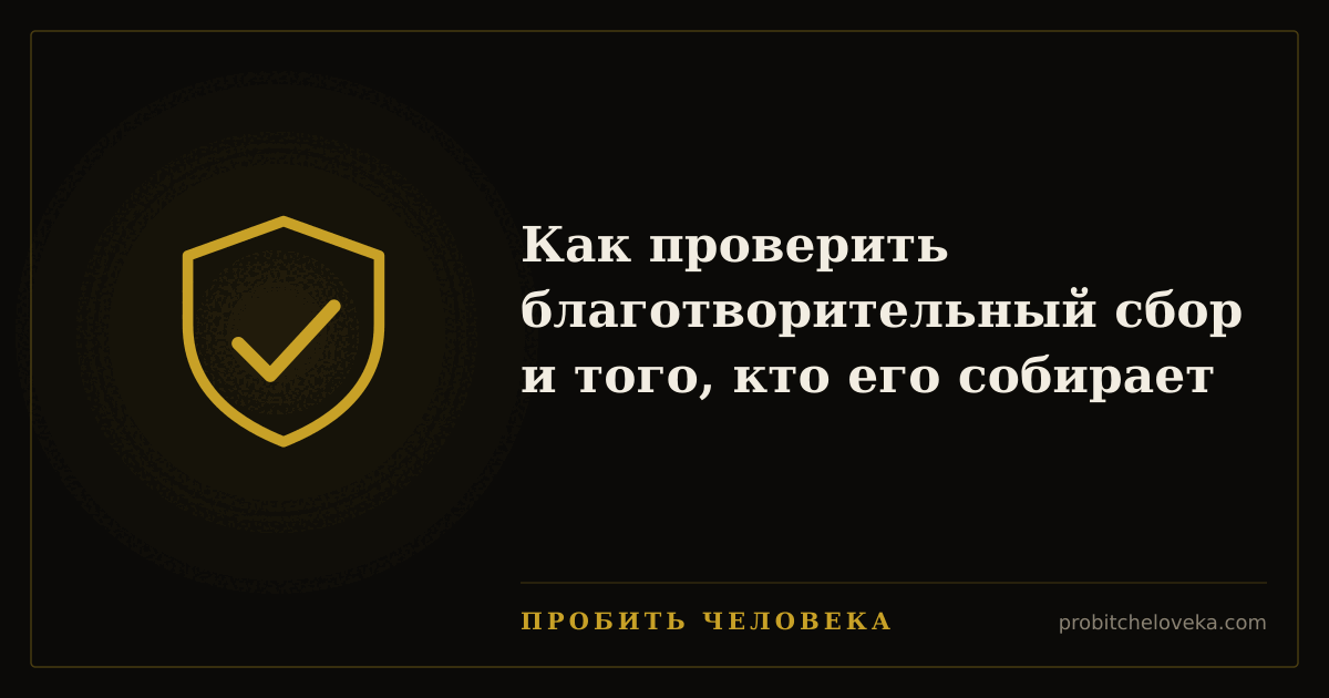 Пробить человека — Как проверить благотворительный сбор и того, кто его собирает